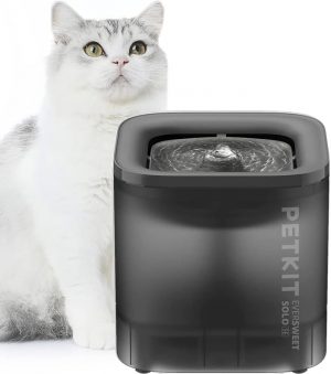 Fontaine à eau portable pour chat